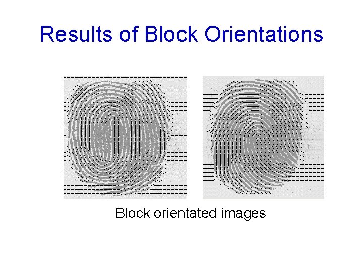 Results of Block Orientations Block orientated images 