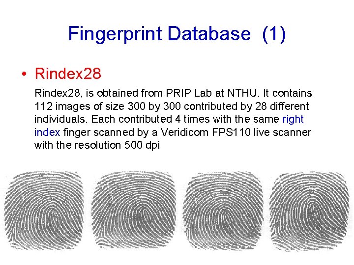 Fingerprint Database (1) • Rindex 28, is obtained from PRIP Lab at NTHU. It