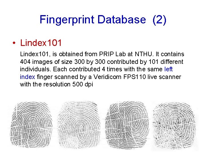 Fingerprint Database (2) • Lindex 101, is obtained from PRIP Lab at NTHU. It