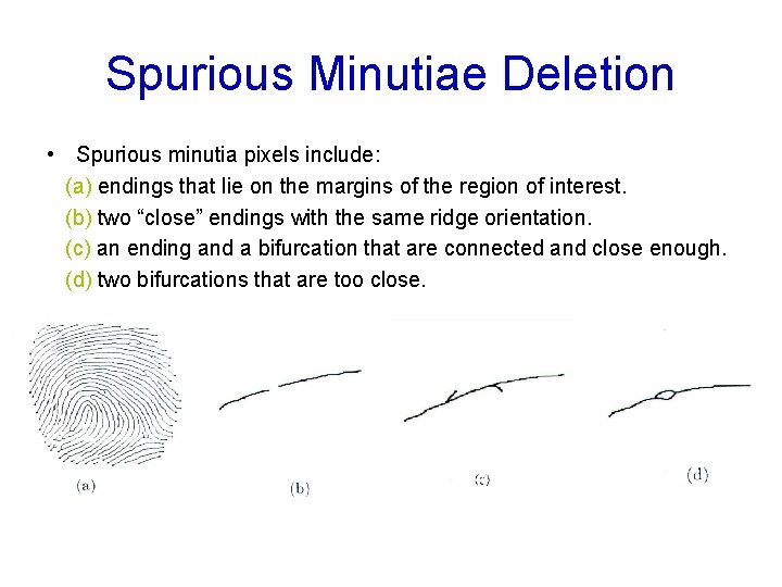 Spurious Minutiae Deletion • Spurious minutia pixels include: (a) endings that lie on the