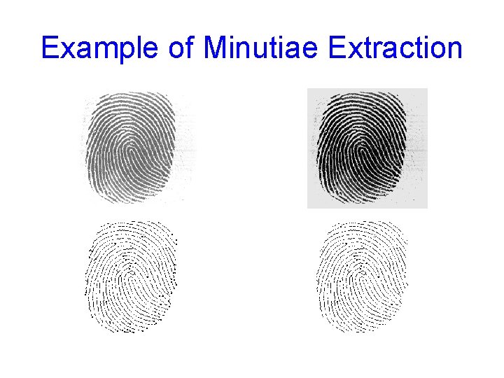 Example of Minutiae Extraction 