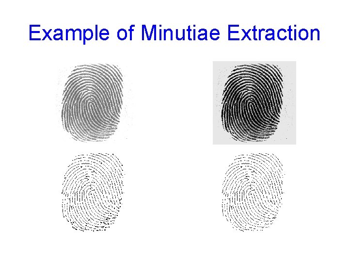 Example of Minutiae Extraction 