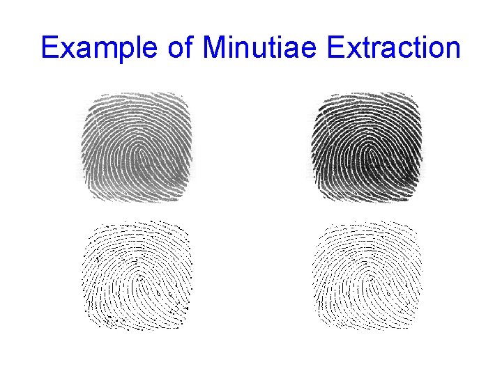 Example of Minutiae Extraction 