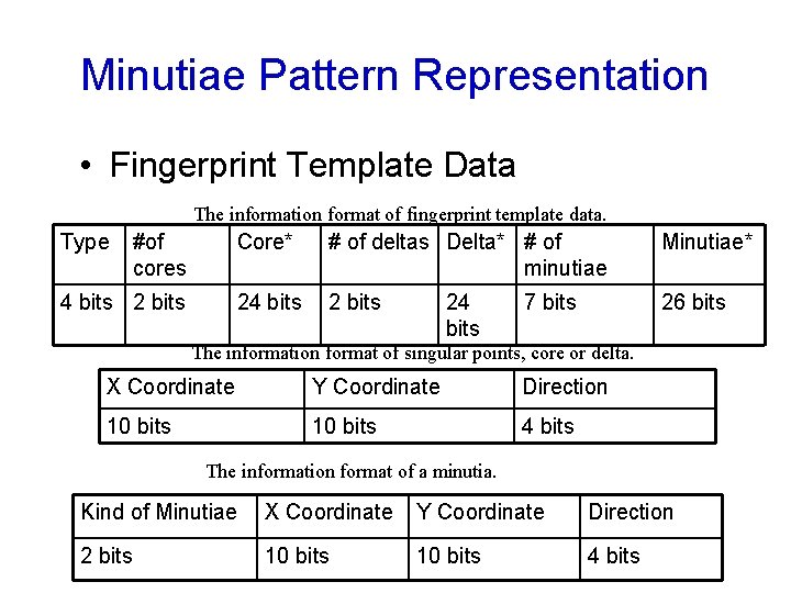  Minutiae Pattern Representation • Fingerprint Template Data The information format of fingerprint template