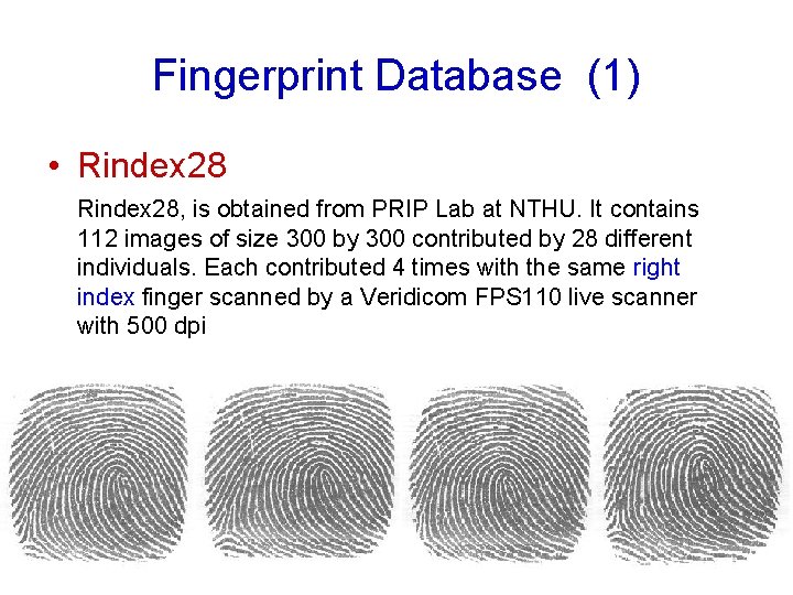 Fingerprint Database (1) • Rindex 28, is obtained from PRIP Lab at NTHU. It