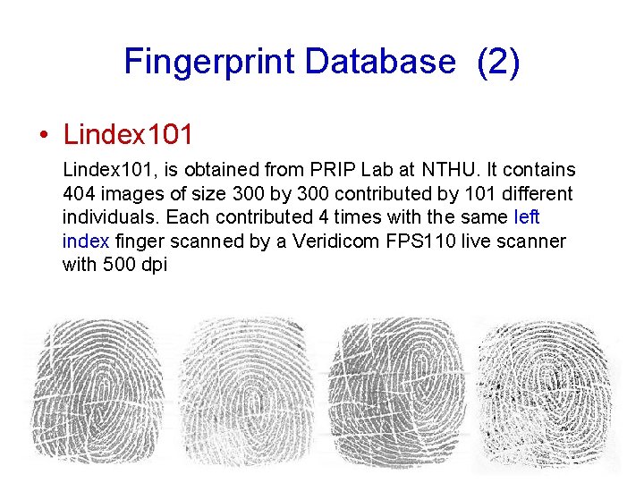 Fingerprint Database (2) • Lindex 101, is obtained from PRIP Lab at NTHU. It