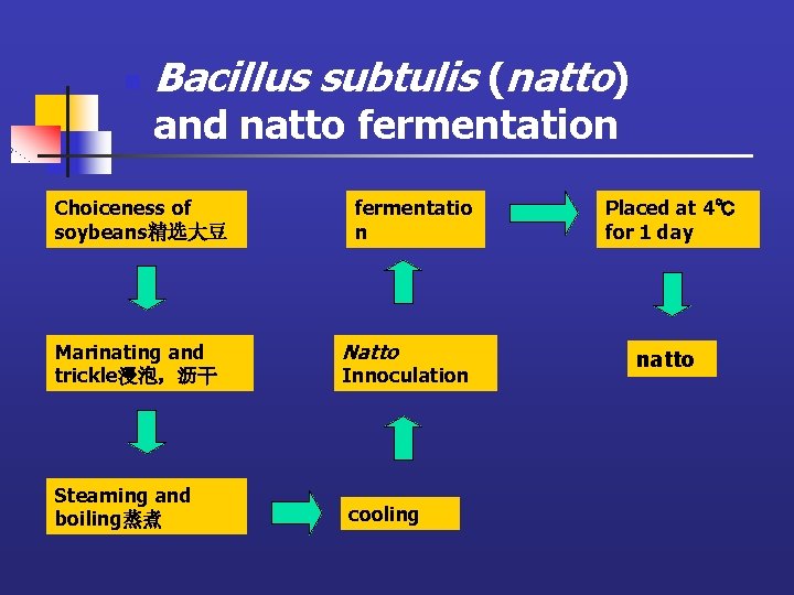 n Bacillus subtulis (natto) and natto fermentation Choiceness of soybeans精选大豆 Marinating and trickle浸泡，沥干 Steaming