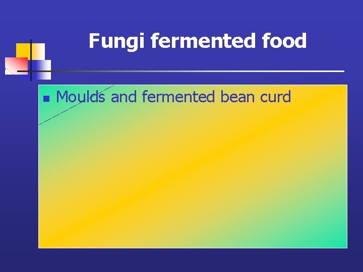 Fungi fermented food n Moulds and fermented bean curd 