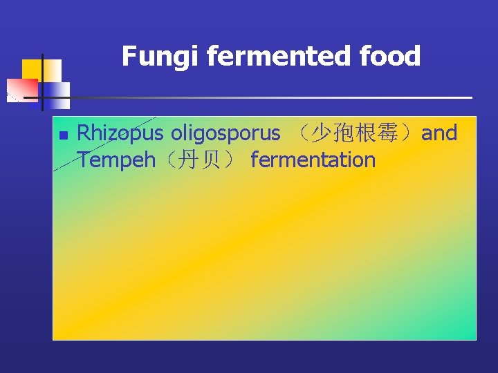 Fungi fermented food n Rhizopus oligosporus （少孢根霉）and Tempeh（丹贝） fermentation 