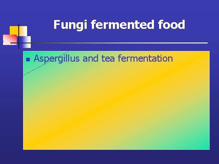 Fungi fermented food n Aspergillus and tea fermentation 