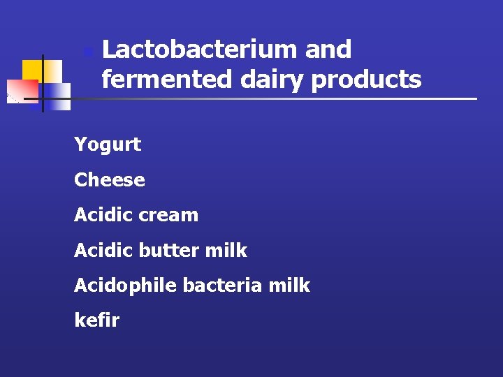 n Lactobacterium and fermented dairy products Yogurt Cheese Acidic cream Acidic butter milk Acidophile