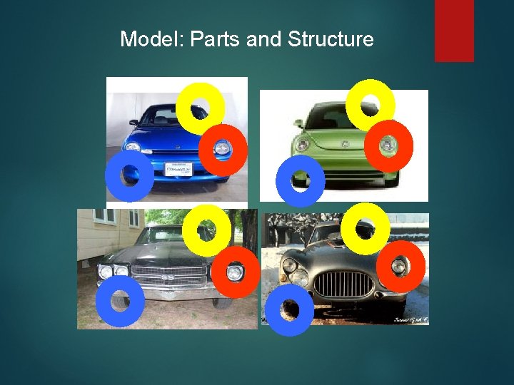 Model: Parts and Structure 