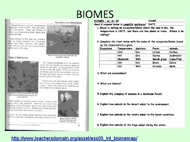 BIOMES http: //www. teachersdomain. org/asset/ess 05_int_biomemap/ 