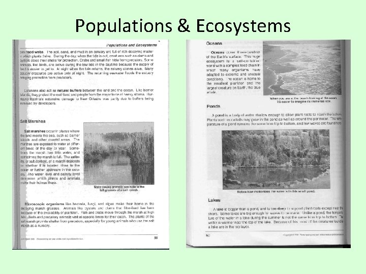 Populations & Ecosystems 