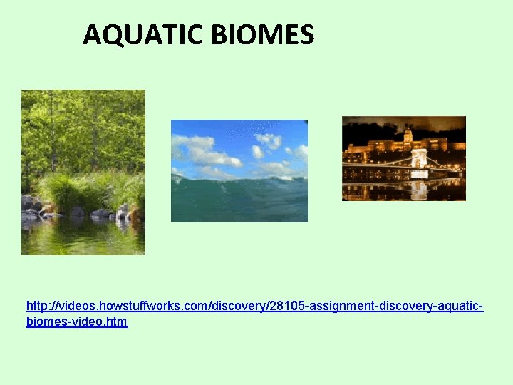 AQUATIC BIOMES http: //videos. howstuffworks. com/discovery/28105 -assignment-discovery-aquaticbiomes-video. htm 