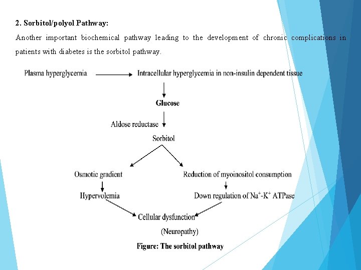 2. Sorbitol/polyol Pathway: Another important biochemical pathway leading to the development of chronic complications