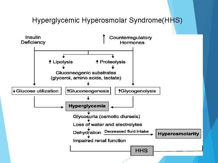 Hyperglycemic Hyperosmolar Syndrome(HHS) 