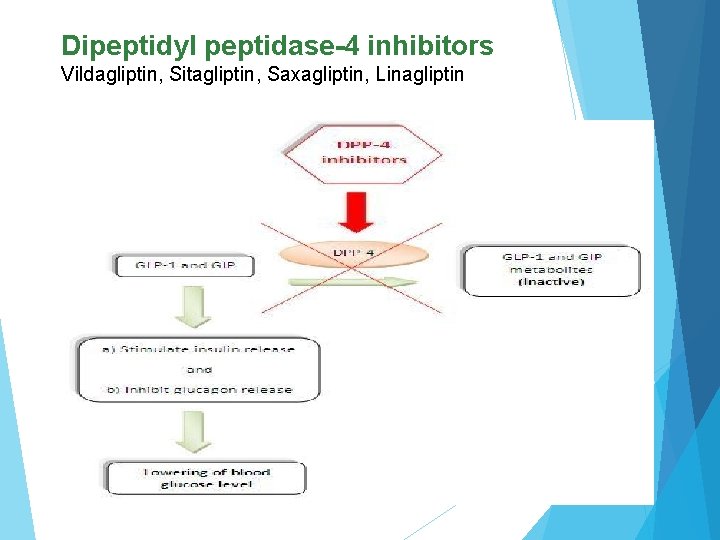 Dipeptidyl peptidase-4 inhibitors Vildagliptin, Sitagliptin, Saxagliptin, Linagliptin 