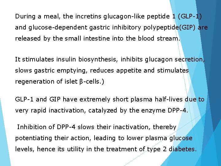During a meal, the incretins glucagon-like peptide 1 (GLP-1) and glucose-dependent gastric inhibitory polypeptide(GIP)