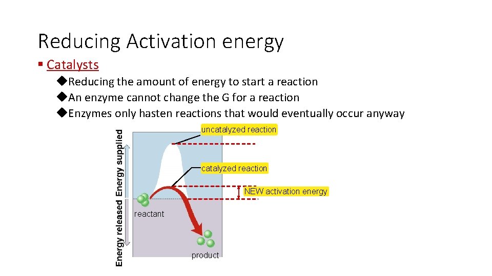 Reducing Activation energy § Catalysts u. Reducing the amount of energy to start a