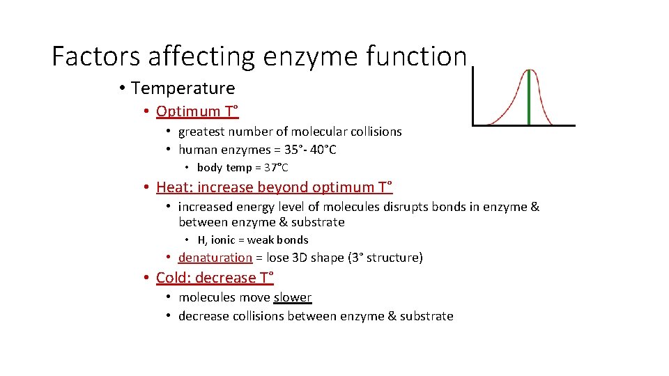 Factors affecting enzyme function • Temperature • Optimum T° • greatest number of molecular