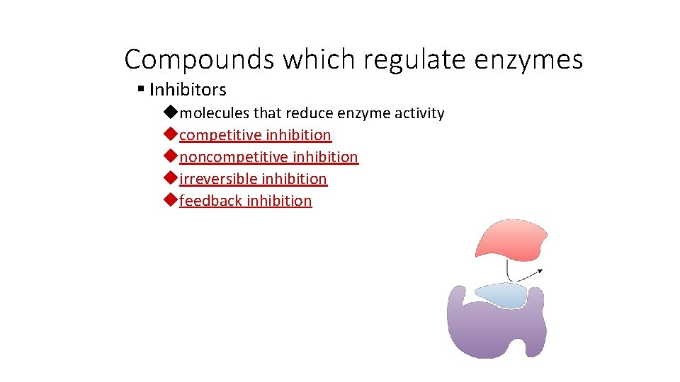Compounds which regulate enzymes § Inhibitors umolecules that reduce enzyme activity ucompetitive inhibition unoncompetitive