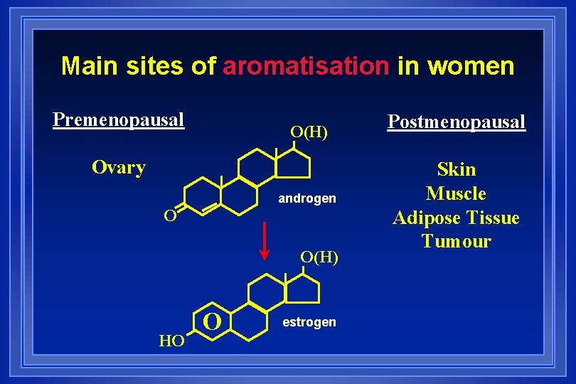 Main sites of aromatisation in women Premenopausal O(H) Ovary androgen O O(H) HO O