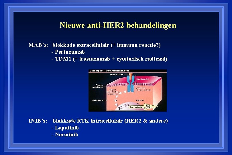 Nieuwe anti-HER 2 behandelingen MAB’s: blokkade extracellulair (+ immuun reactie? ) - Pertuzumab -