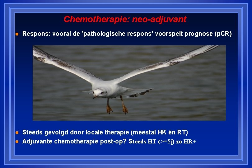 Chemotherapie: neo-adjuvant l Respons: vooral de ’pathologische respons’ voorspelt prognose (p. CR) l Steeds