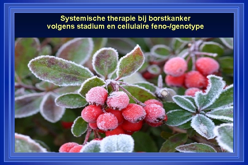 Systemische therapie bij borstkanker volgens stadium en cellulaire feno-/genotype 