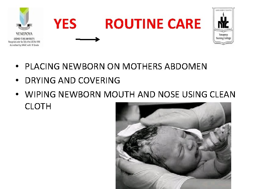 YES ROUTINE CARE • PLACING NEWBORN ON MOTHERS ABDOMEN • DRYING AND COVERING •