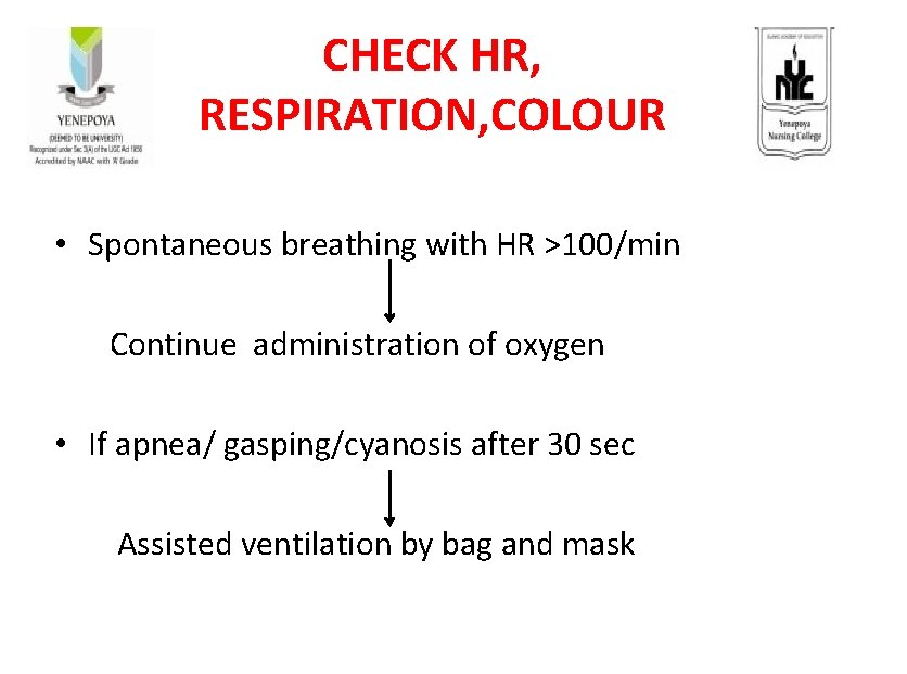 CHECK HR, RESPIRATION, COLOUR • Spontaneous breathing with HR >100/min Continue administration of oxygen