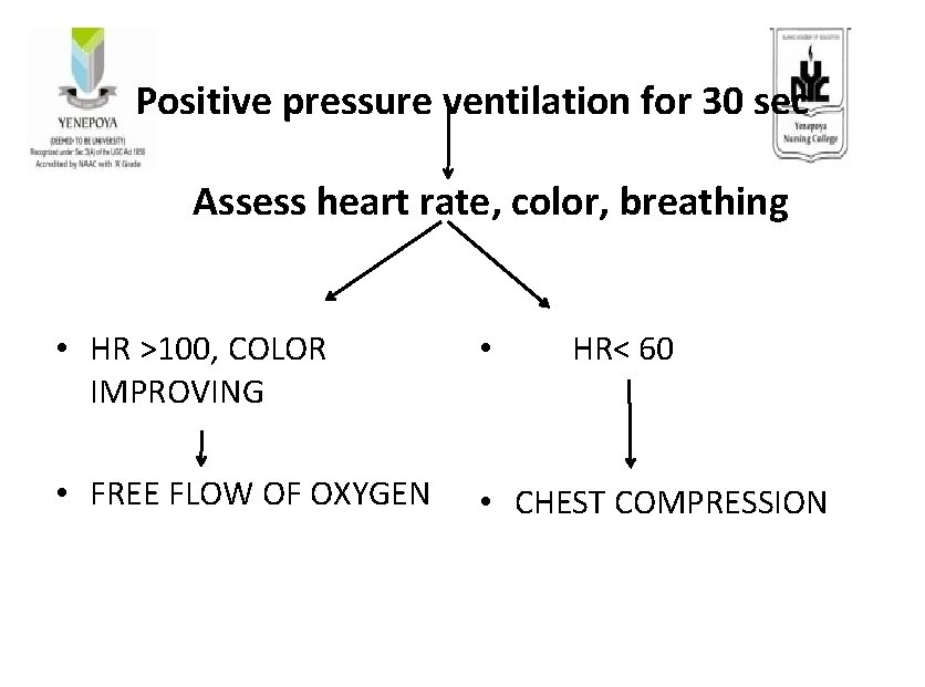 Positive pressure ventilation for 30 sec Assess heart rate, color, breathing • HR >100,