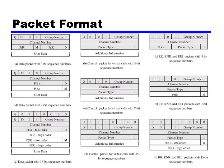 Packet Format 