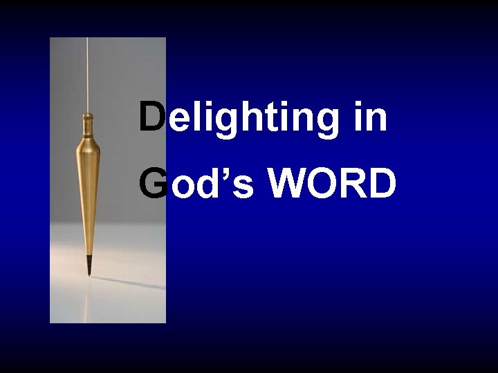 Delighting in God’s WORD 