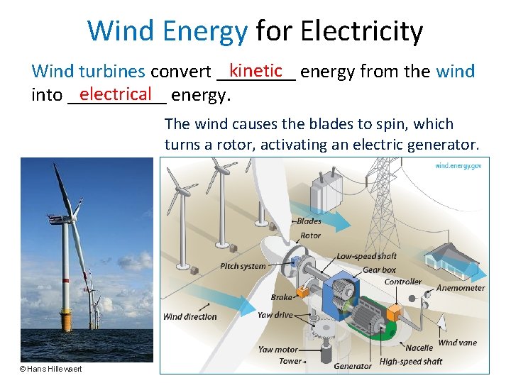 Wind Energy for Electricity kinetic energy from the wind Wind turbines convert ____ electrical