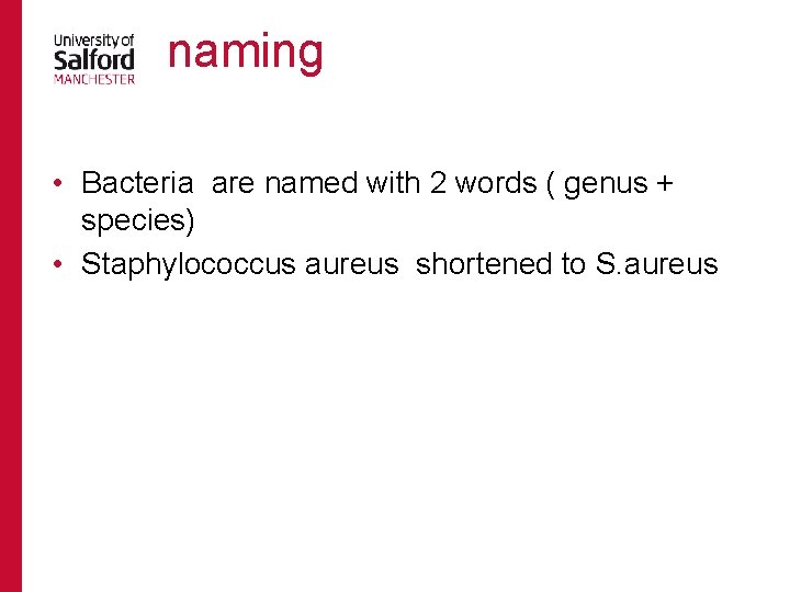 naming • Bacteria are named with 2 words ( genus + species) • Staphylococcus