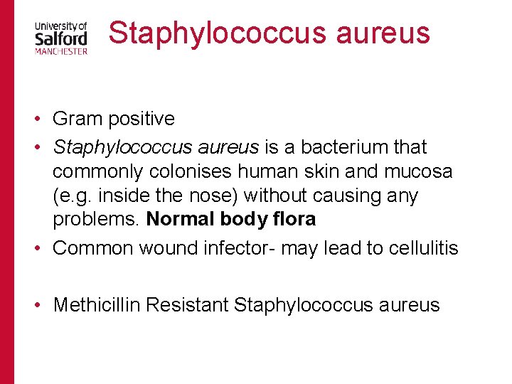 Staphylococcus aureus • Gram positive • Staphylococcus aureus is a bacterium that commonly colonises