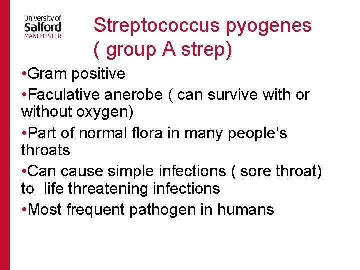  Streptococcus pyogenes ( group A strep) • Gram positive • Faculative anerobe (