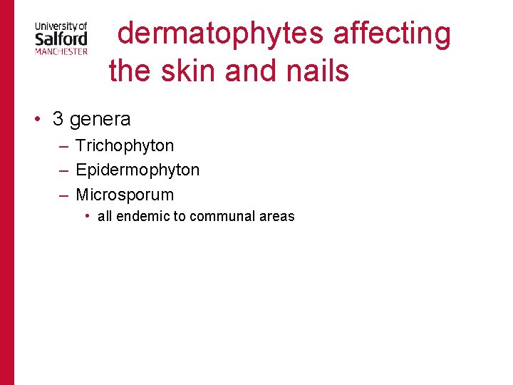  dermatophytes affecting the skin and nails • 3 genera – Trichophyton – Epidermophyton