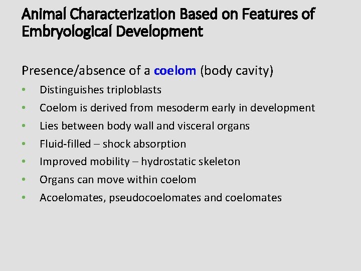 Animal Characterization Based on Features of Embryological Development Presence/absence of a coelom (body cavity)