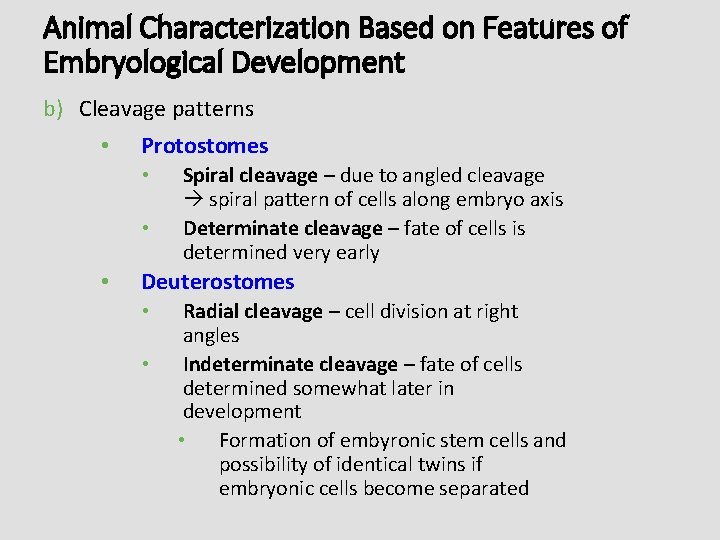 Animal Characterization Based on Features of Embryological Development b) Cleavage patterns • Protostomes •