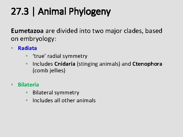 27. 3 | Animal Phylogeny Eumetazoa are divided into two major clades, based on