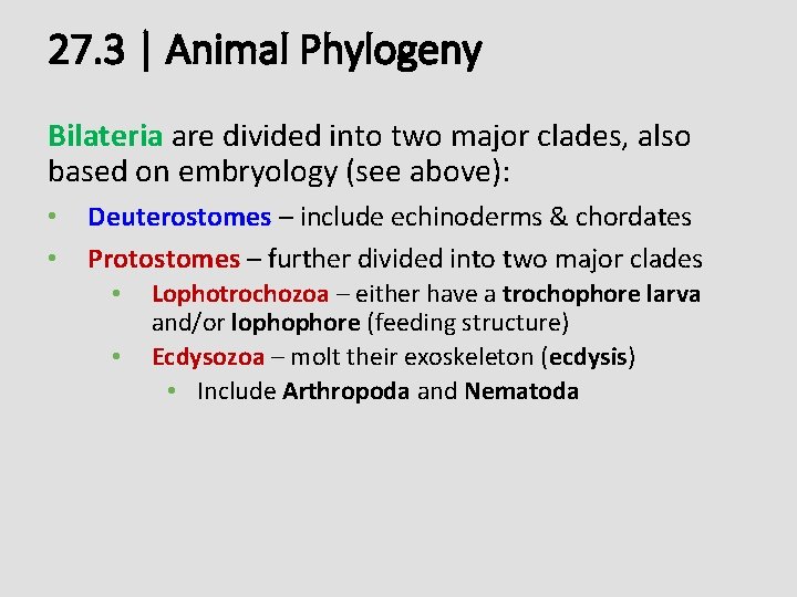 27. 3 | Animal Phylogeny Bilateria are divided into two major clades, also based