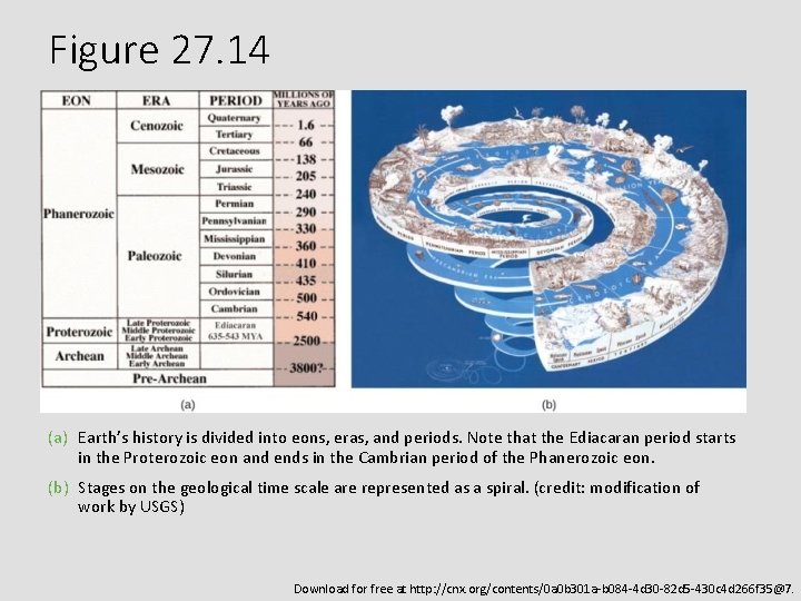 Figure 27. 14 (a) Earth’s history is divided into eons, eras, and periods. Note