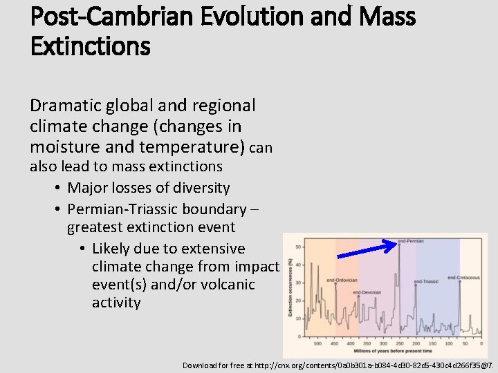 Post-Cambrian Evolution and Mass Extinctions Dramatic global and regional climate change (changes in moisture