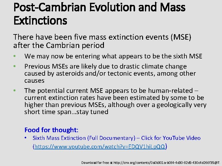 Post-Cambrian Evolution and Mass Extinctions There have been five mass extinction events (MSE) after