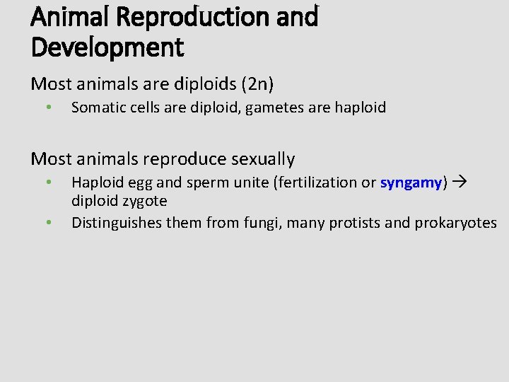 Animal Reproduction and Development Most animals are diploids (2 n) • Somatic cells are