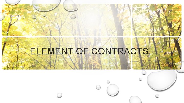 ELEMENT OF CONTRACTS 