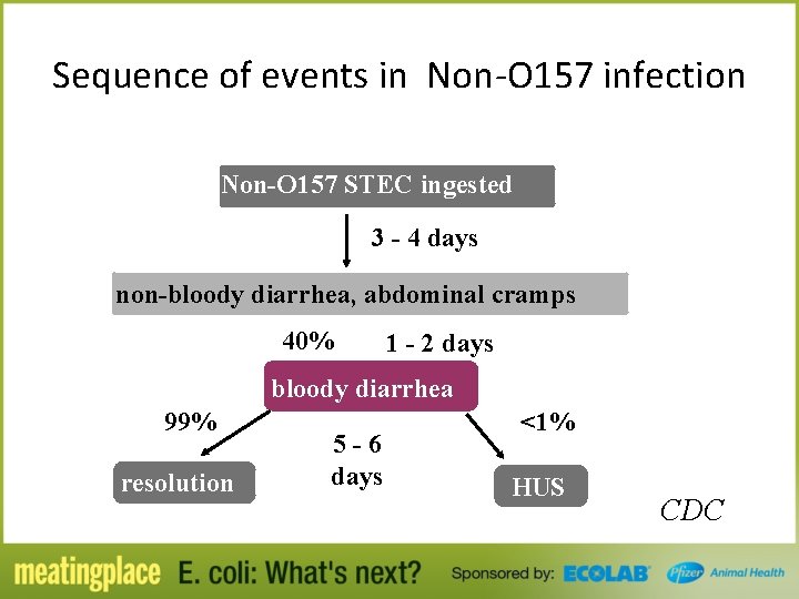 Sequence of events in Non-O 157 infection Non-O 157 STEC ingested 3 - 4